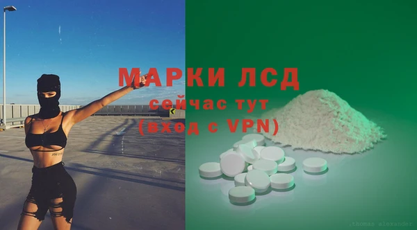 PSILOCYBIN Абаза