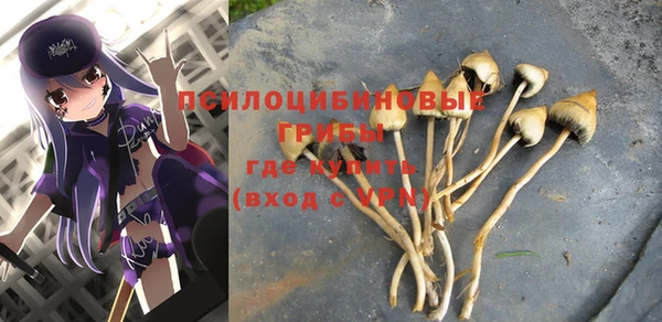 PSILOCYBIN Абаза