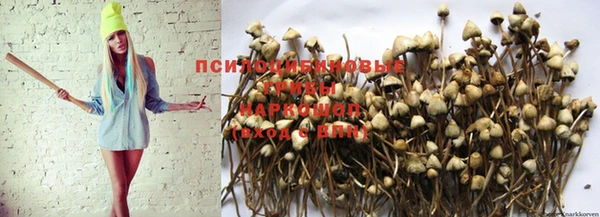 PSILOCYBIN Абаза
