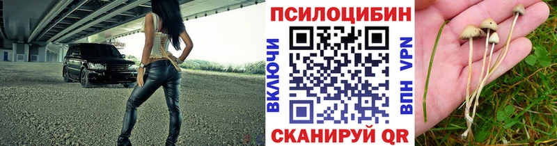 ОМГ ОМГ вход  Стерлитамак  Псилоцибиновые грибы мухоморы 